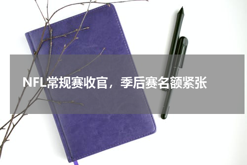  NFL常规赛收官，季后赛名额紧张