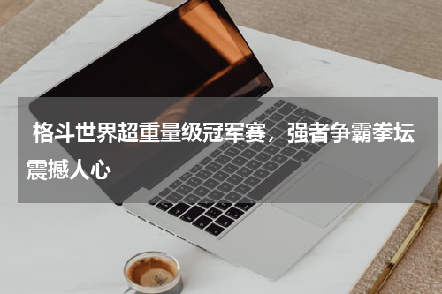  格斗世界超重量级冠军赛，强者争霸拳坛震撼人心  