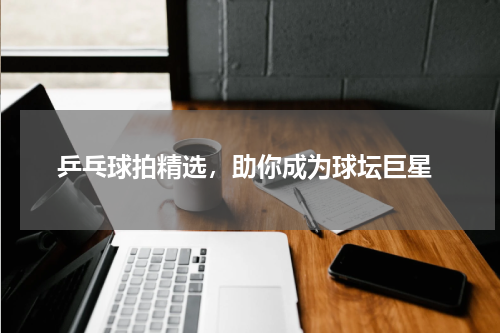  乒乓球拍精选，助你成为球坛巨星