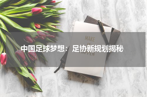  中国足球梦想：足协新规划揭秘