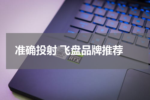  准确投射 飞盘品牌推荐
