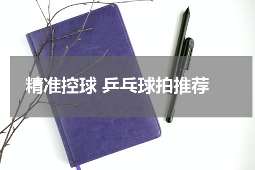  精准控球 乒乓球拍推荐