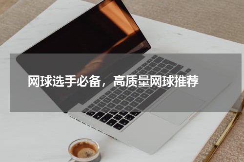  网球选手必备，高质量网球推荐 