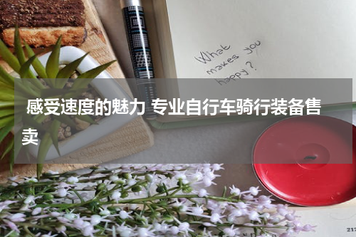  感受速度的魅力 专业自行车骑行装备售卖 