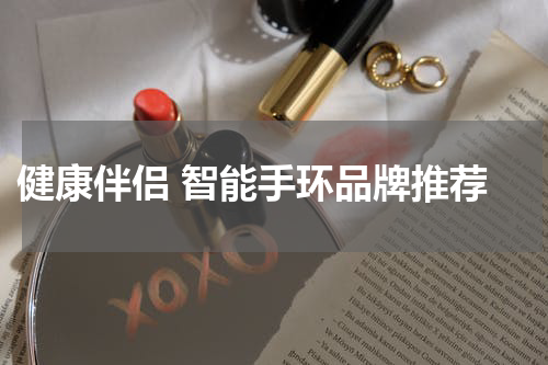  健康伴侣 智能手环品牌推荐