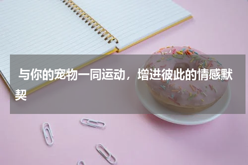  与你的宠物一同运动，增进彼此的情感默契