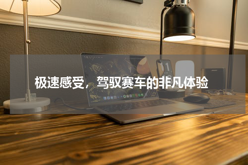  极速感受，驾驭赛车的非凡体验