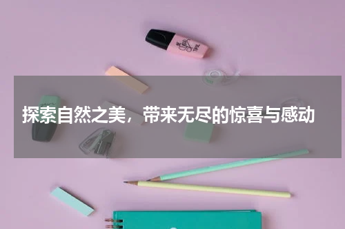  探索自然之美，带来无尽的惊喜与感动
