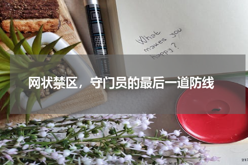  网状禁区，守门员的最后一道防线