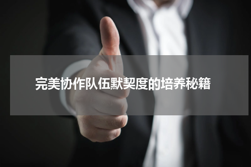  完美协作队伍默契度的培养秘籍