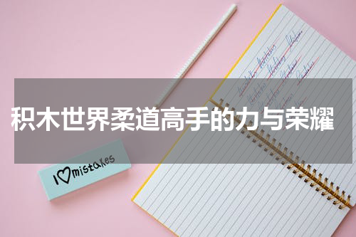  积木世界柔道高手的力与荣耀