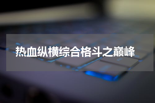 热血纵横综合格斗之巅峰