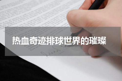  热血奇迹排球世界的璀璨