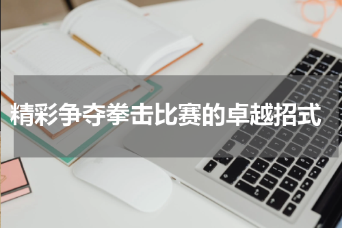  精彩争夺拳击比赛的卓越招式