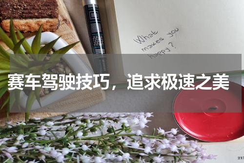 赛车驾驶技巧，追求极速之美