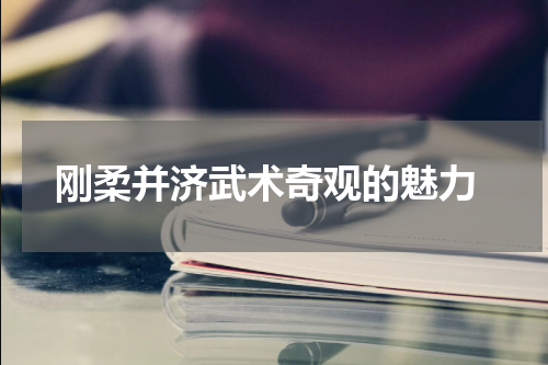  刚柔并济武术奇观的魅力