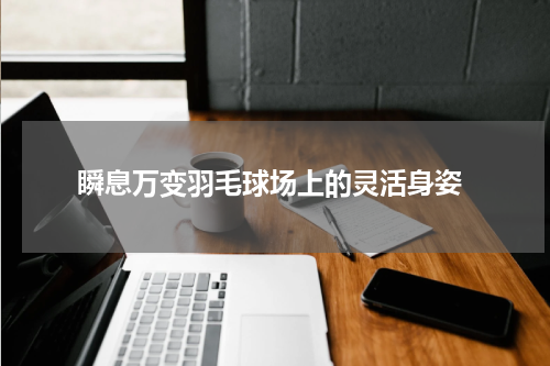  瞬息万变羽毛球场上的灵活身姿