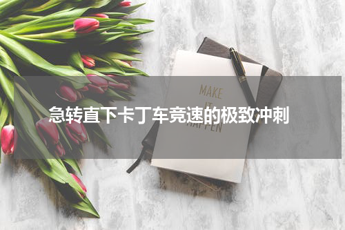  急转直下卡丁车竞速的极致冲刺