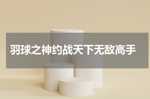  羽球之神约战天下无敌高手