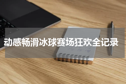  动感畅滑冰球赛场狂欢全记录