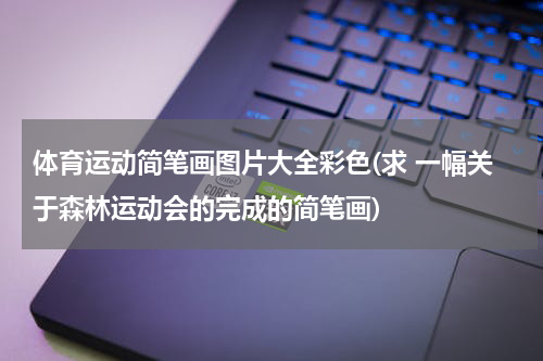 体育运动简笔画图片大全彩色(求 一幅关于森林运动会的完成的简笔画)