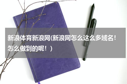 新浪体育新浪网(新浪网怎么这么多域名！怎么做到的呢！)