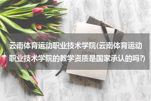 云南体育运动职业技术学院(云南体育运动职业技术学院的教学资质是国家承认的吗?)