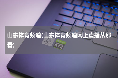 山东体育频道(山东体育频道网上直播从那看)