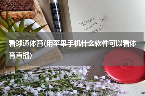 看球通体育(用苹果手机什么软件可以看体育直播)