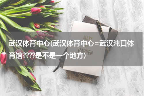 武汉体育中心(武汉体育中心=武汉沌口体育馆????是不是一个地方)