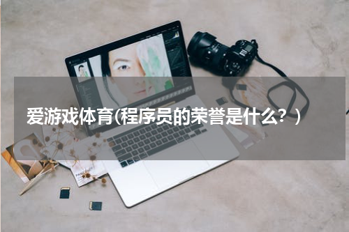 爱游戏体育(程序员的荣誉是什么？)