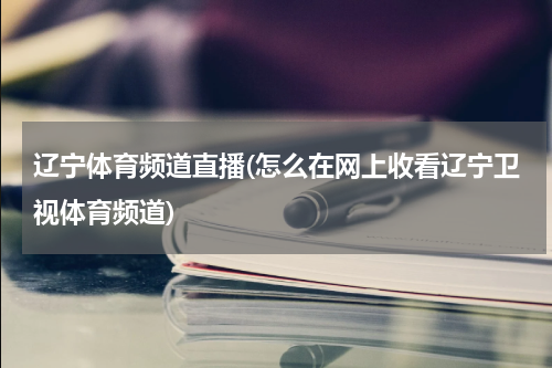 辽宁体育频道直播(怎么在网上收看辽宁卫视体育频道)