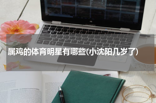 属鸡的体育明星有哪些(小沈阳几岁了)