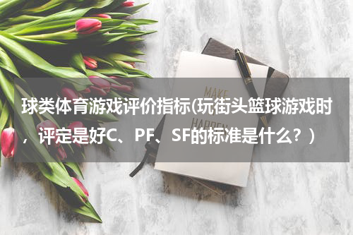 球类体育游戏评价指标(玩街头篮球游戏时，评定是好C、PF、SF的标准是什么？)