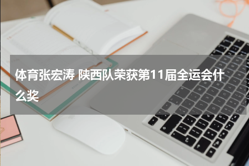 体育张宏涛 陕西队荣获第11届全运会什么奖