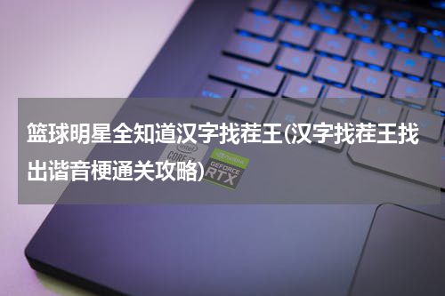 篮球明星全知道汉字找茬王(汉字找茬王找出谐音梗通关攻略)
