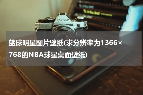 篮球明星图片壁纸(求分辨率为1366×768的NBA球星桌面壁纸)
