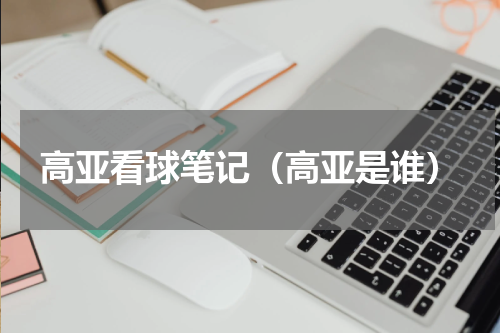 高亚看球笔记（高亚是谁）