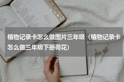 植物记录卡怎么做图片三年级（植物记录卡怎么做三年级下册荷花）