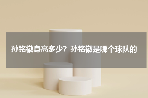 孙铭徽身高多少？孙铭徽是哪个球队的