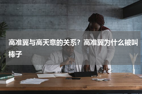 高准翼与高天意的关系？高准翼为什么被叫棒子
