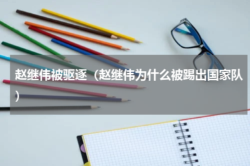 赵继伟被驱逐（赵继伟为什么被踢出国家队）