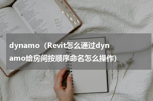dynamo（Revit怎么通过dynamo给房间按顺序命名怎么操作）