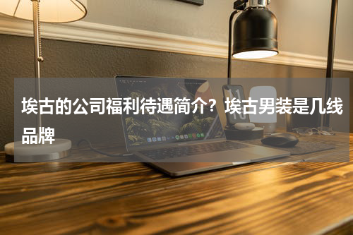 埃古的公司福利待遇简介？埃古男装是几线品牌
