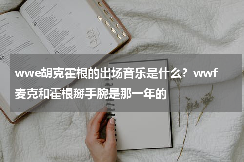 wwe胡克霍根的出场音乐是什么？wwf麦克和霍根掰手腕是那一年的