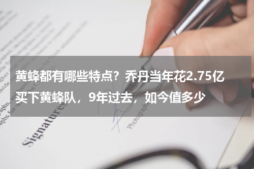 黄蜂都有哪些特点？乔丹当年花2.75亿买下黄蜂队，9年过去，如今值多少