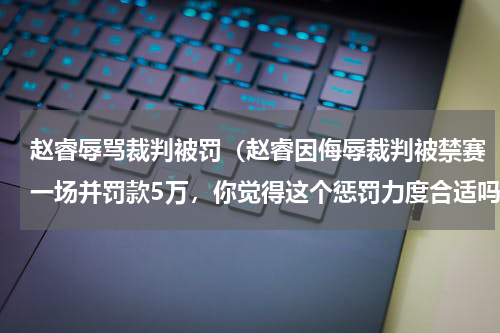 赵睿辱骂裁判被罚（赵睿因侮辱裁判被禁赛一场并罚款5万，你觉得这个惩罚力度合适吗）