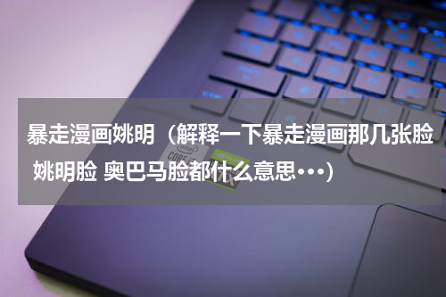 暴走漫画姚明（解释一下暴走漫画那几张脸 姚明脸 奥巴马脸都什么意思···）