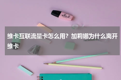 维卡互联流量卡怎么用？加莉娜为什么离开维卡