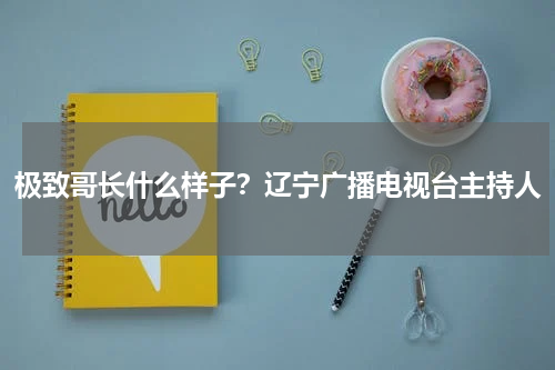 极致哥长什么样子？辽宁广播电视台主持人